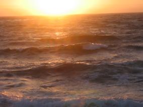 IMG_0856.JPG